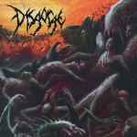 DISGORGE - Parallels of Infinite Torture Re-Release CD